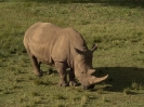 02_AustraliaZoo_12