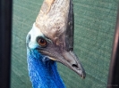 02_AustraliaZoo_2