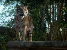 03_AustraliaZoo_110