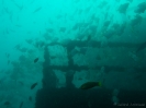 06_Diving_HMASBrisbane_104