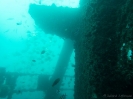 06_Diving_HMASBrisbane_106
