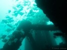 06_Diving_HMASBrisbane_107
