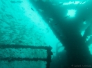 06_Diving_HMASBrisbane_111