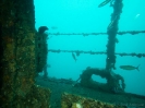 06_Diving_HMASBrisbane_114