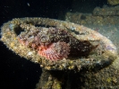 06_Diving_HMASBrisbane_116