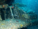 06_Diving_HMASBrisbane_123