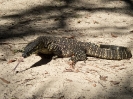 07_FraserIsland_120