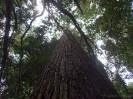 07_FraserIsland_126