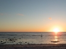 08_LadyElliot-Island_127