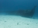 08_LadyElliot-Island_143