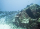 08_LadyElliot-Island_144