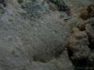 08_LadyElliot-Island_146