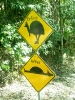 10_PortDouglas_101