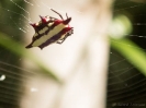 10_PortDouglas_102