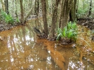10_PortDouglas_103
