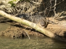 10_PortDouglas_107
