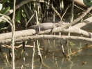 10_PortDouglas_108