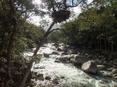 10_PortDouglas_110