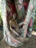 10_PortDouglas_112