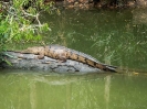 10_PortDouglas_118