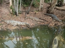 10_PortDouglas_119