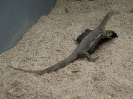 10_PortDouglas_121