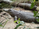 10_PortDouglas_122