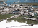 10_PortDouglas_124