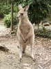 10_PortDouglas_125