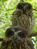 10_PortDouglas_128