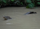 10_PortDouglas_130