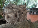 10_PortDouglas_133