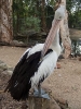 10_PortDouglas_136