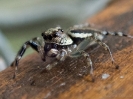 10_PortDouglas_137