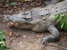 10_PortDouglas_139