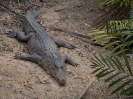 10_PortDouglas_140