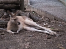 10_PortDouglas_141