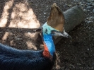 10_PortDouglas_143