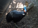 10_PortDouglas