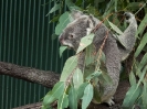 10_PortDouglas_147