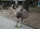 10_PortDouglas_148