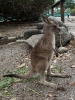 10_PortDouglas_149