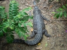 10_PortDouglas_150