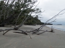 10_PortDouglas_151
