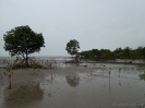 10_PortDouglas_152