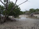 10_PortDouglas_153