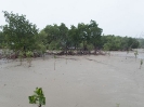 10_PortDouglas_154