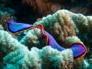 10_PortDouglas_155