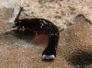 10_PortDouglas_156