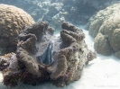 10_PortDouglas_157